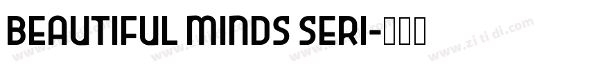 Beautiful Minds Seri字体转换